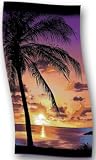 Beach Towel Palm Silhouette