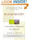 Biomimicry: Innovation Inspired by Nature