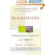 Biomimicry: Innovation Inspired by Nature