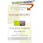 Biomimicry: Innovation Inspired by Nature