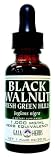Black Walnut Hulls 1 oz.