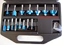 15 Piece Carbide Router Bit set with case