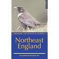 Where to Watch Birds in Northeast England (Where to Watch Birds)