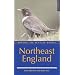 Where to Watch Birds in Northeast England (Where to Watch Birds)