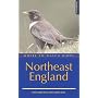 Where to Watch Birds in Northeast England (Where to Watch Birds)