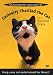 Curiosity Thrilled the Cat - A Video for your Cat