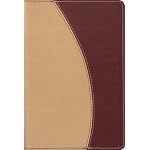 Holy Bible: New International Version, Camel/Cranberry, Italian Duo-Tone, Compact Thinline Bible book cover