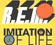 Imitation of Life