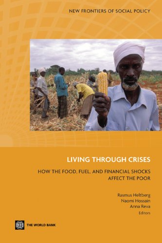 Living through Crises (New Frontiers of Social Policy)