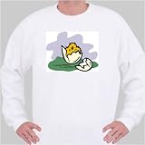 Sweatshirt with animals, hatch, chick, egg, animal, spring