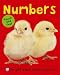 Numbers (Bright Baby Touch and Feel)