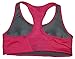 Nike Womens Dri-Fit High Support Sport Bra FUSCHIA/PINK Swoosh SMALL