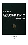 経済大国インドネシア　- 21世紀の成長条件 (中公新書)