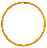 Digital Fitness Hoop