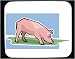 Mouse Pad with animals, feeding, pig, grass, animal