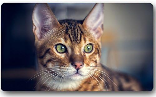 Cat Ears Whiskers Eyes Doormat Custom Machine-Washable Door Mat Indoor/Outdoor Doormat 23.6(L) x 15.7(W) Inch