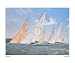Battling Twelves (LE) (Signed and Numbered) - Steven Dews Art Print Poster 36 x 27 Image