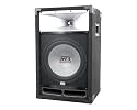 MTX 12" DJ Speaker (TP112)