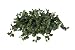 Artificial Pothos Ledge in Rattan