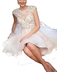 Sexy Organza Backless Lace Applique Sequined Short Evening Dress/Prom Dress/Party Dress/Wedding Dress/Mini Dress 