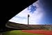 National Stadium of Singapore - 24W x 16H - Peel and Stick Wall Decal by Wallmonkeys