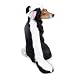 Casual Canine Lil Stinker Costume Sm