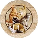Set of Four Killen's Cats Thirstystone Coasters - Style TSJK11
