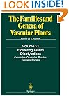 Flowering Plants. Dicotyledons: Celastrales, Oxalidales, Rosales, Cornales, Ericales (The Families and Genera of Vascular Plants) (v. 6)