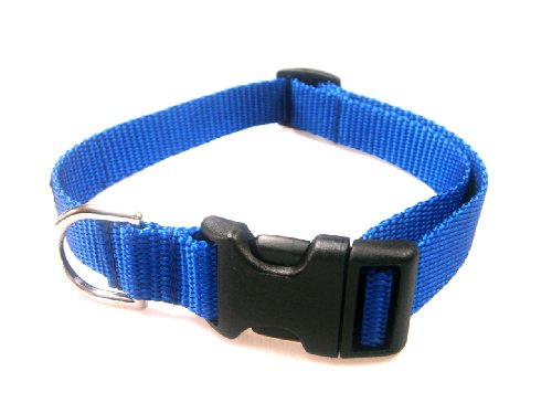 Small Blue Nylon Webbing Dog Collar: 5/8