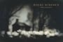 Rocky Schenck: Photographs (Wittliff Gallery)