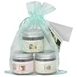Earth Mama-Angel Baby A Little Heavenly Salve-ation, 1 sampler