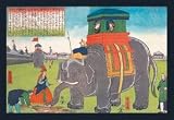 30 x 20 Stretched Canvas Poster Elephant Taking a Lunch Break