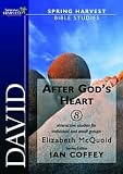 David: After God's Heart (Spring Harvest Bible studies)