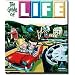 THE GAME OF LIFE