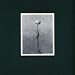 Eluvium-Life Through Bombardment [Vinyl]