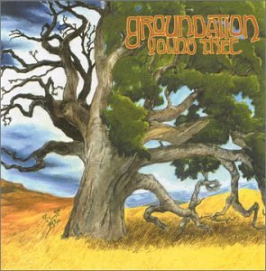 Groundation Photo 3