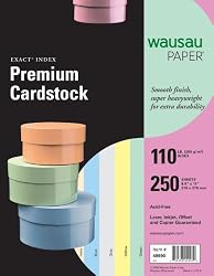Wausau Exact Index Cardstock , 110 lb, 8.5 x 11 Inches, 5 Color Pastel Assortment, 250 Sheets (48990)