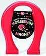 MAGNET GIANT HORSESHOE 8