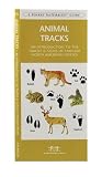 Animal Tracks: An Introduction to the Tracks & Signs of Familiar North American Species (A Pocket Naturalist Guide)