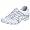 White/Silver