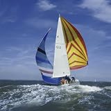 Sailboat Photographic Poster Print, 16×16