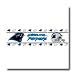 NFL Carolina Panthers Self Stick Wall Border
