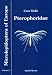 Book Microlepidoptera of Europe: Pterophoridae