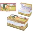 Big Sky Jewelry Music Box by Enchantmints