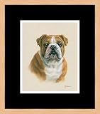 English Bulldog by Judy Gibson - Framed Artwork