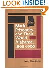 Black Prisoners and Their World : Alabama, 1865-1900