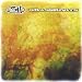 311-Grassroots cd cover