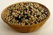 Organic Sprouting Seeds Rainbow Bean Mix 1 lbs Garbanzo, Green Pea, Lentil