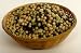 Organic Sprouting Seeds Rainbow Bean Mix 1 lbs