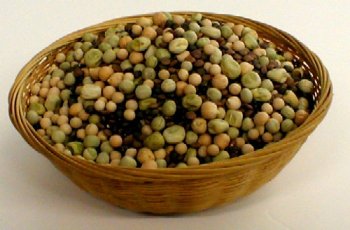 Organic Sprouting Seeds Rainbow Bean Mix 1 lbs by The Sprout House